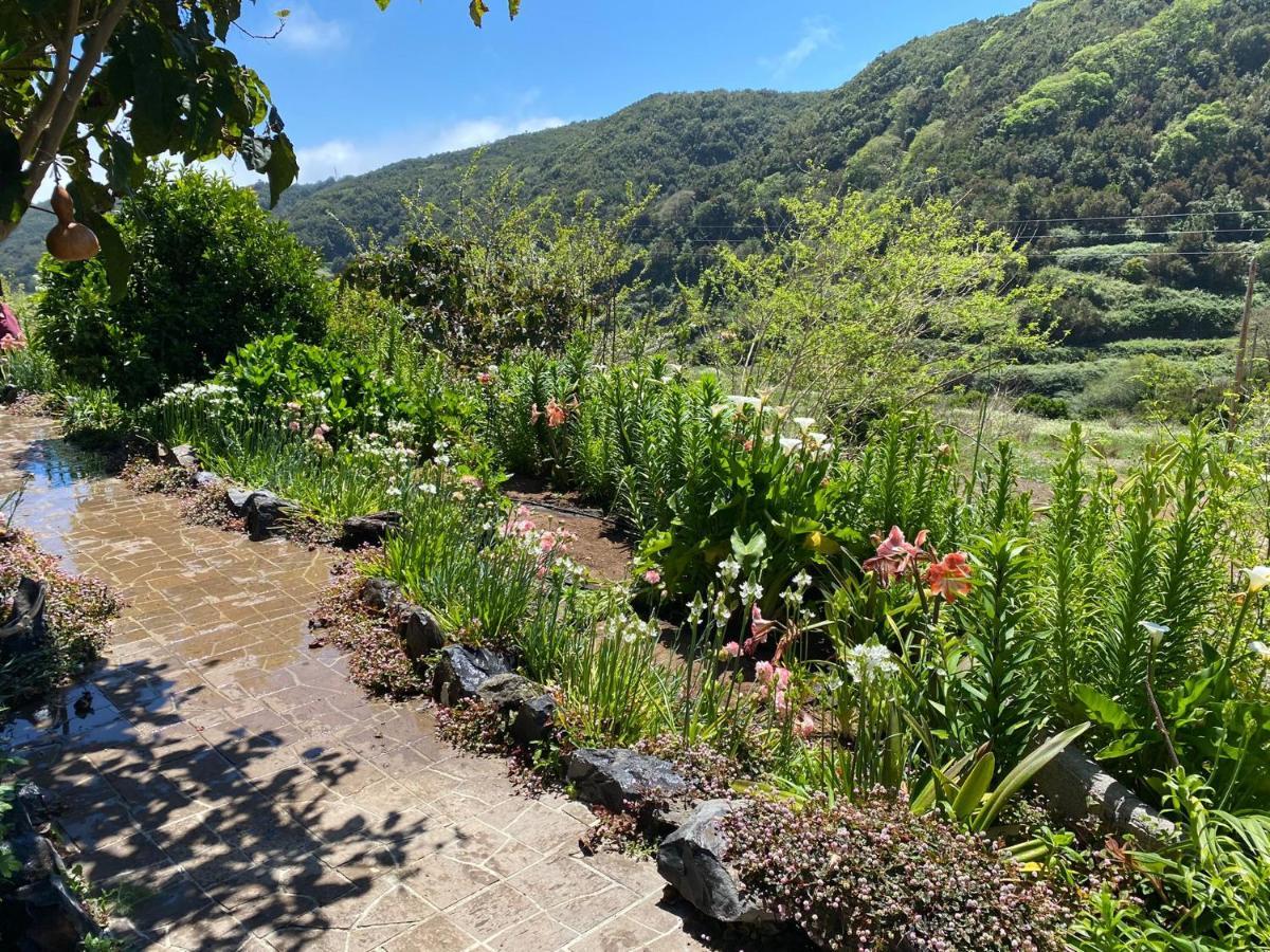 Casas Medina Villa Agulo Dış mekan fotoğraf