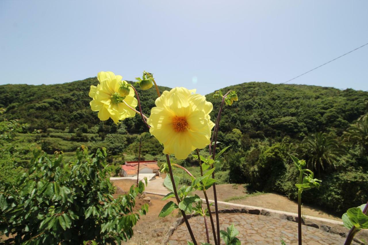 Casas Medina Villa Agulo Dış mekan fotoğraf